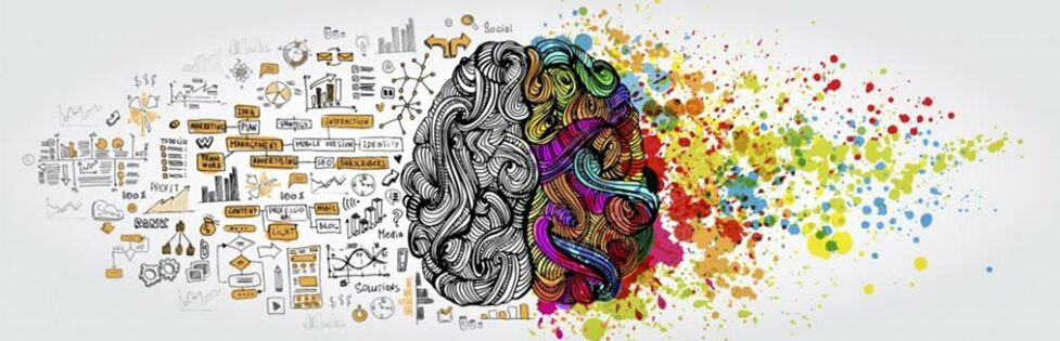 stem-cells-neuroplasticity