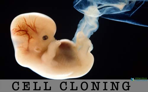 cell-CLONING