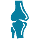 orthopedic knee hip
