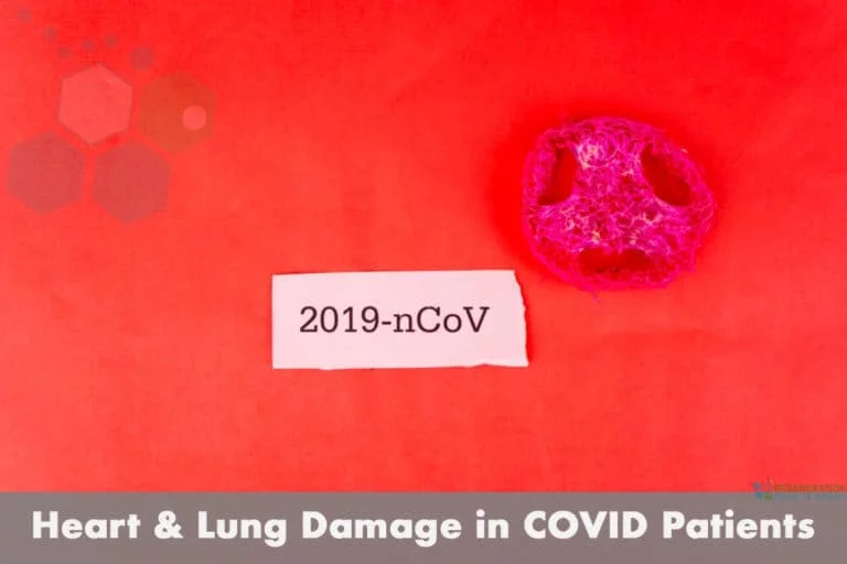 covid heart damage lung