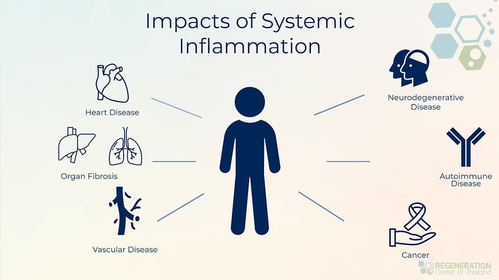 Impacts-of-systemic-inflammation
