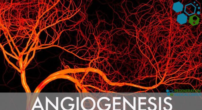 The Angiogenesis Process and Its Therapeutic Benefits
