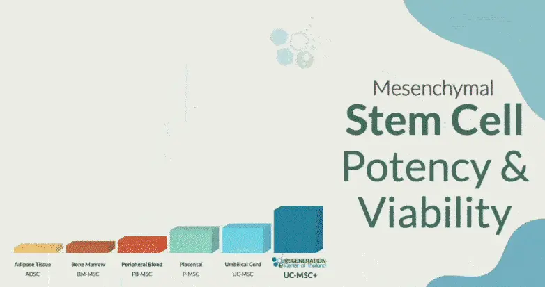 Regeneration-Center-Stem-Cell-Culturing