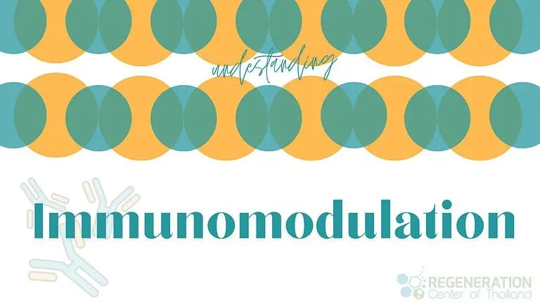Immunomodulation by Mesenchymal Stem Cells (MSCs)