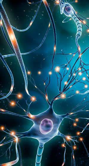 stem-cells-Movement-Disorders