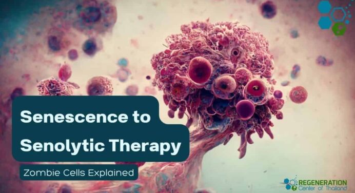 Zombie Cells Explained: Senescence to Senolytic Therapy