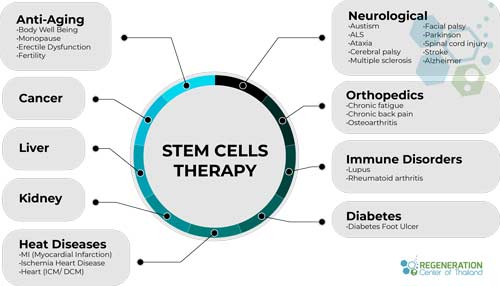Benefits-of-stem-cell-research